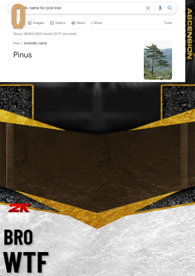 google wtf is this. i serech up scientific name for pine tree and this is what happened on my screen