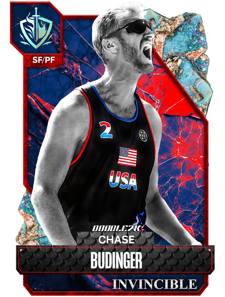 USA Olympian Chase Budinger