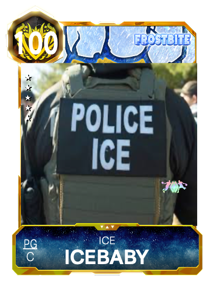 ICE Law Enforcement