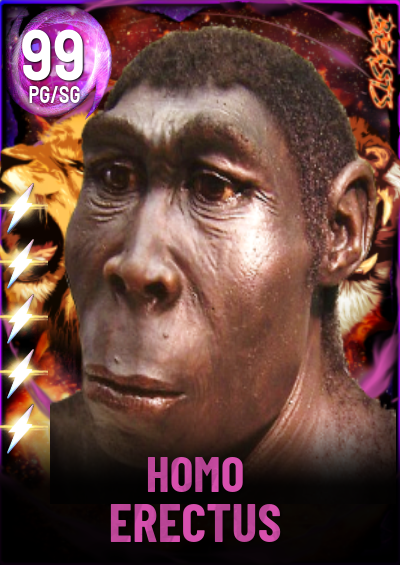 Homo Erectus