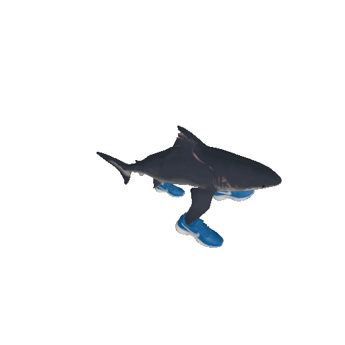 2KDB MyTEAM Database NBA 2K Custom Card Tralalero Tralala By Ahh 2kdb-myteam-database-nba-2k-custom-card-tralalero-tralala-by-ahh