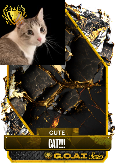 100 likes for ANOTHER CAT!