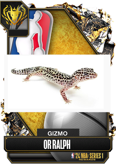 Voting for my lizards name in the comments