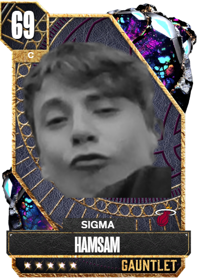 SIMGA HAMISH