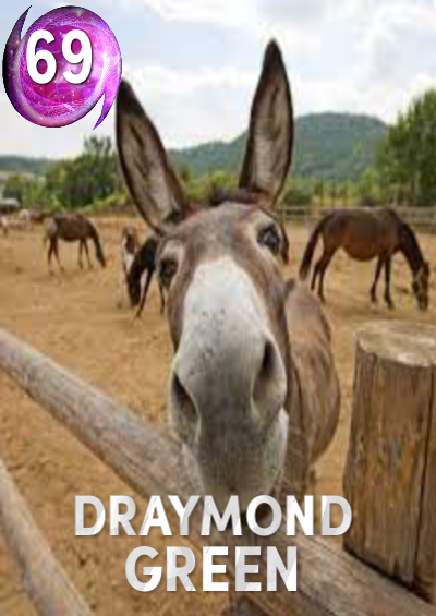 DONKEY