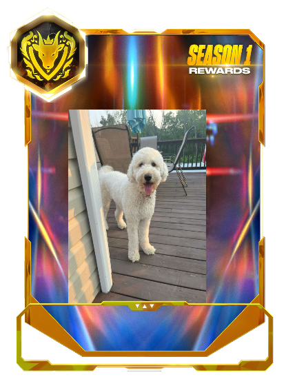 Doggggg