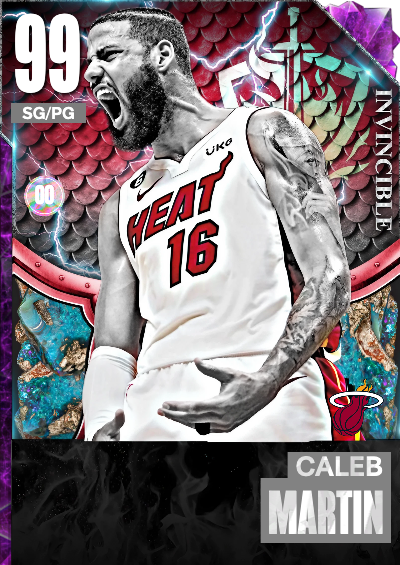 HEAT GOES TO THE NBA FINALS