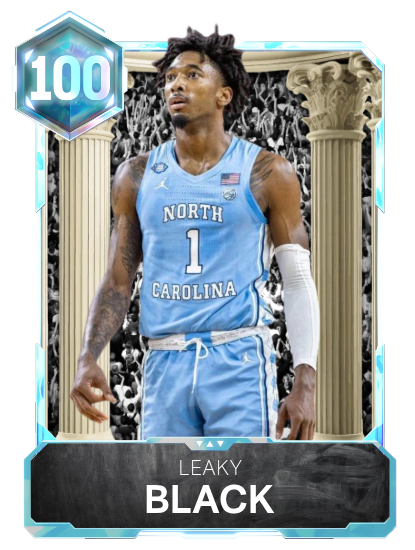 Leaky black 