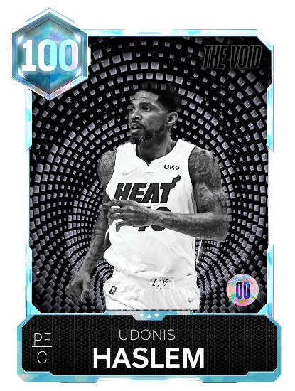 Haslem The Void